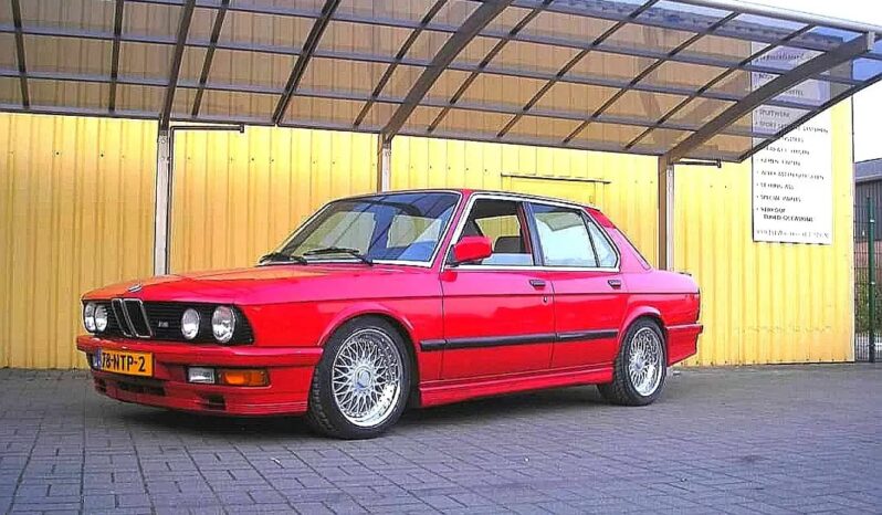 310513543_2205856329582961_5926138250155629942_n