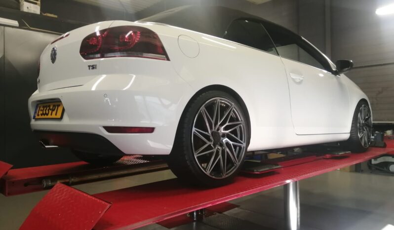 WhatsApp Image 2024-10-27 at 12.47.06 (3)