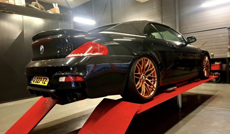 486601240_1157971426116877_835476854472208196_n