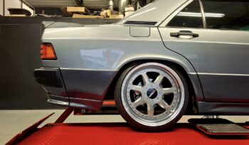 495016272_1194748115772541_4838450525833200904_n